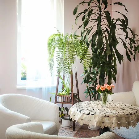 Отель Bojnicky Vinny Dom 4*